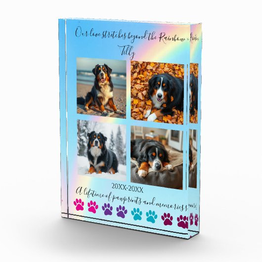 Paw Prints & Herinneringen-Custom Rainbow Dog Memo Fotoblokken (Rechts)