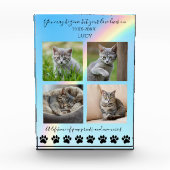 Paw Prints & Herinneringen-Rainbow Cat Memorial- Fotoblokken (Voorkant)