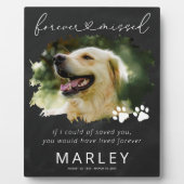 Paw Prints Keepaardse foto van Memorial Fotoplaat (Voorkant)