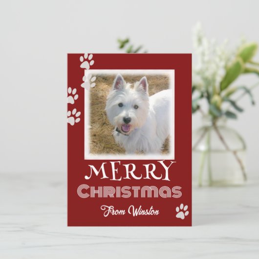 Paw Prints Merry kerstdog-fotokaarten (Staand voorkant)