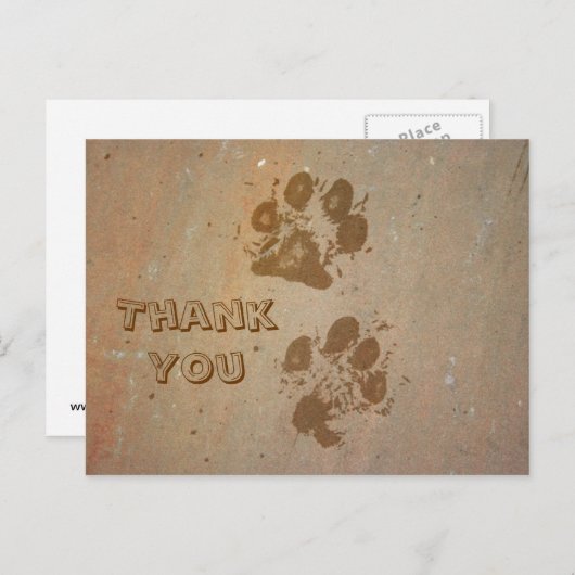 Paw Prints op Stone Dank u Briefkaart (Voorkant / Achterkant)