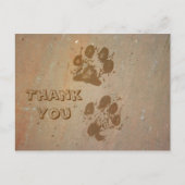 Paw Prints op Stone Dank u Briefkaart (Voorkant)