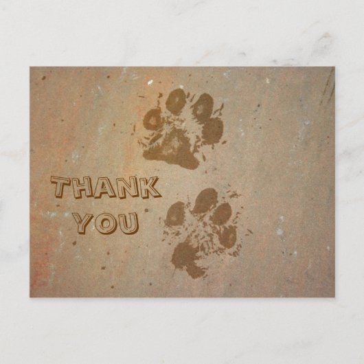 Paw Prints op Stone Dank u Briefkaart (Voorkant)