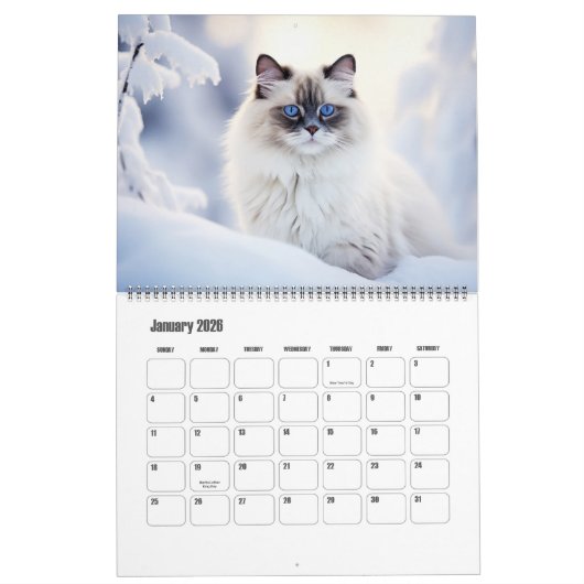 Paw Prints Pet Cat Photo Art Large Kalender (Jan 2026)