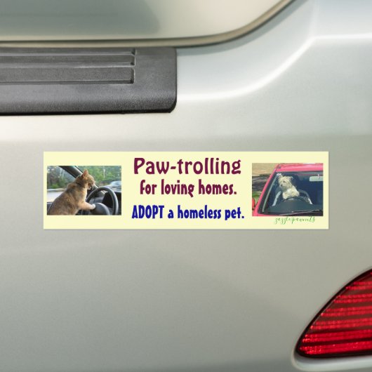 Paw-trolling Bumpersticker (Op auto)