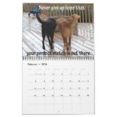 Pawcurieuze agenda 2011 kalender (Feb 2026)