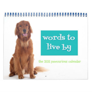 Pawcurious Calendrier 2011