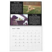 Pawfect Match 2013 Calendar Kalender (Mar 2026)