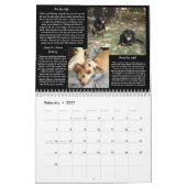 Pawfect Match 2014 Calendar Kalender (Feb 2027)