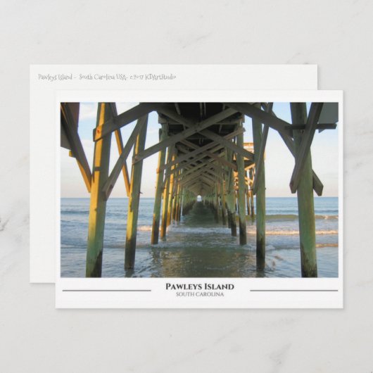Pawleys Island - South Carolina Briefkaart (Voorkant / Achterkant)