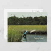 Pawleys Island Vist Briefkaart (Voorkant / Achterkant)