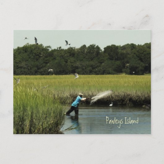 Pawleys Island Vist Briefkaart (Voorkant)