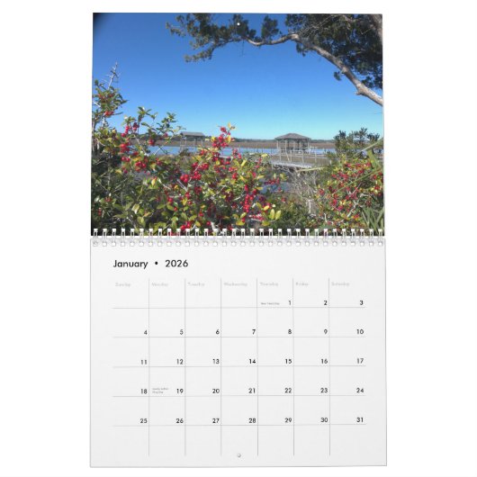 Pawleys Island Wall Calendrier Conception 8 (Jan 2026)