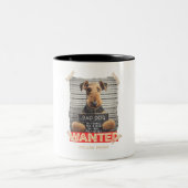 Pawnal Code: "Collar Fraud" - Bad Airedale Terrier Tweekleurige Koffiemok (Center)