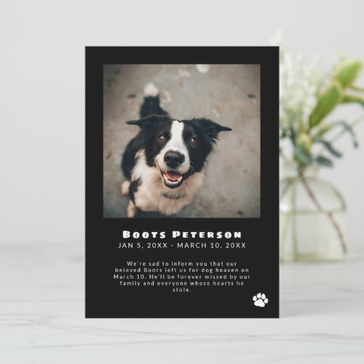 Pawprint blanc Pet Perte Faire-part photo (Debout devant)