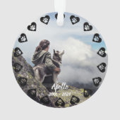 Pawprints of Love foto Pet Memorial Ornament (achterkant)