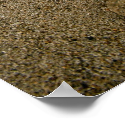 Pawprints Poster (Hoek)