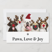 Paws Amour et Joy Chien Noël 5 Carte photo (Devant)