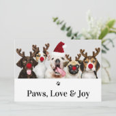 Paws Amour et Joy Chien Noël 5 Carte photo (Debout devant)