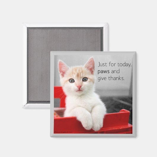 Paws en geven bedankt magneet (Voorkant / Achterkant)