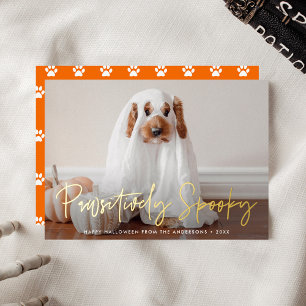 Paws-itief enge Halloween huisdier foto Folie Feestdagenkaart