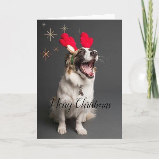 Paws & Joy : Carte "Joyeux Noël" Adorable Chien (Devant)