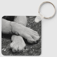 Paws