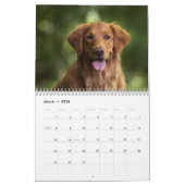 Paws Through the Seasons Calendar Kalender (Mar 2026)