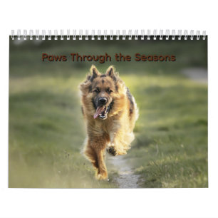 Paws Through the Seasons Kalender