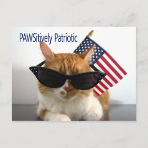 PAWSitief Patriotistische Kattenansichtkaart Briefkaart