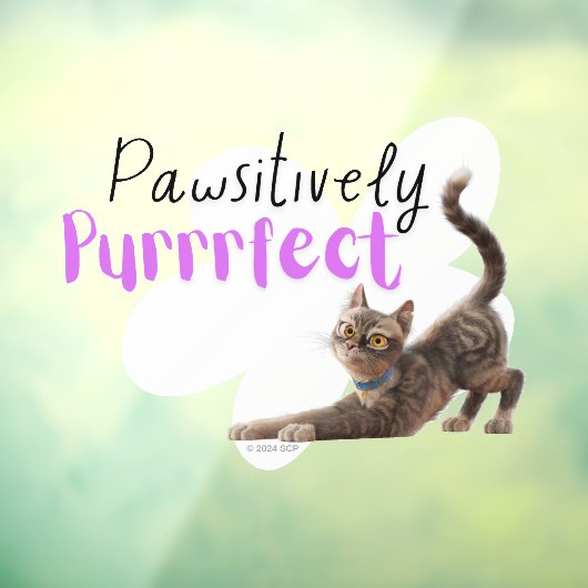 pawsitief purfect raamsticker (Vel 3)