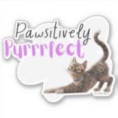 pawsitief purfect sticker (Voorkant)