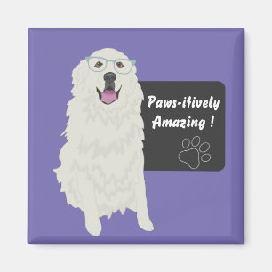 Pawsitive Amazing Education Sticker Magneet