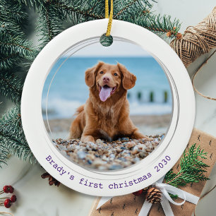 Pawsitive Covid Quarantine Paars Dog Pet Photo Keramisch Ornament