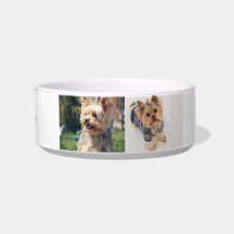 "Pawsitively Gepersonaliseerde Yorkie Middelgrote
