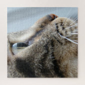 Pawsome Cat Profile Close-up foto, 676 stuks Legpuzzel (Verticaal)