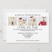 Pawsome Chien Pawty Noël 5 Carte photo (Dos)