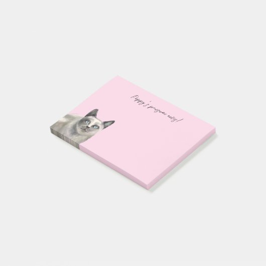 Pawsome notes (Schuin)