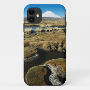 Payachalas Volcanos iPhone 11 Hoesje