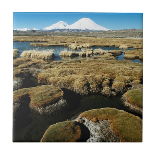 Payachalas Volcanos Tegeltje (Voorkant)