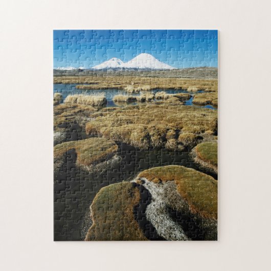Payachalas-vulkanen Legpuzzel (Verticaal)