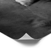 Payne of Powell: 1865 Poster (Hoek)