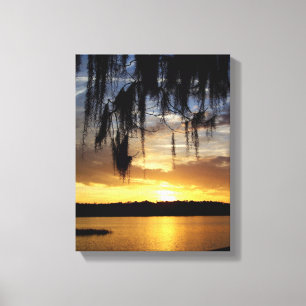 Paynes Prairie Florida Sunset Canvas Afdruk
