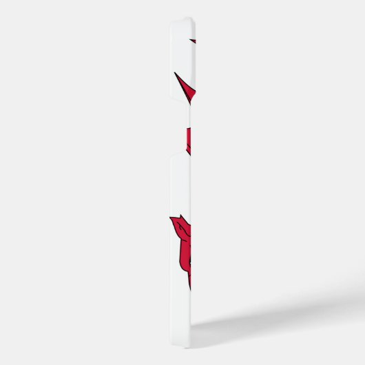 Pays de Galles (Côté droit)