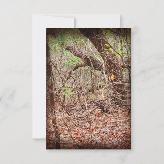 Pays rustique Deer Hunter Wedding RSVP (Dos)