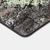 Pays Rustique Nature Mossy Bark Oak Tree Photo (Coin)