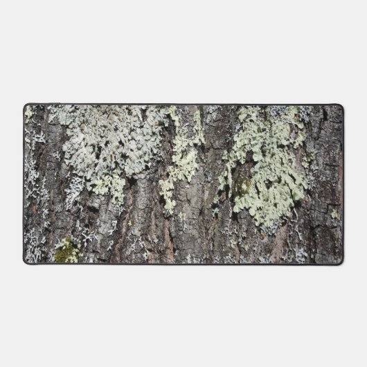 Pays Rustique Nature Mossy Bark Oak Tree Photo (Recto)