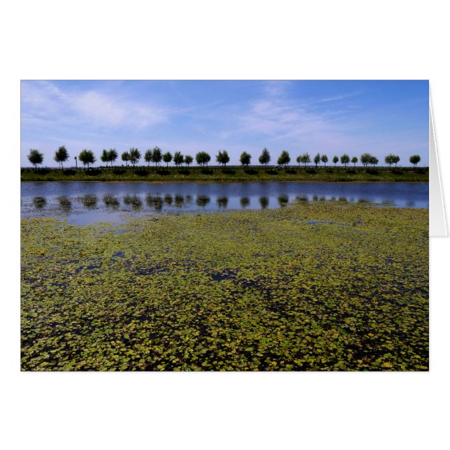 Paysage (Devant horizontal)