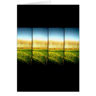 paysage 2 de lomo