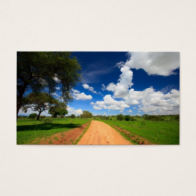 Paysage africain (Devant)